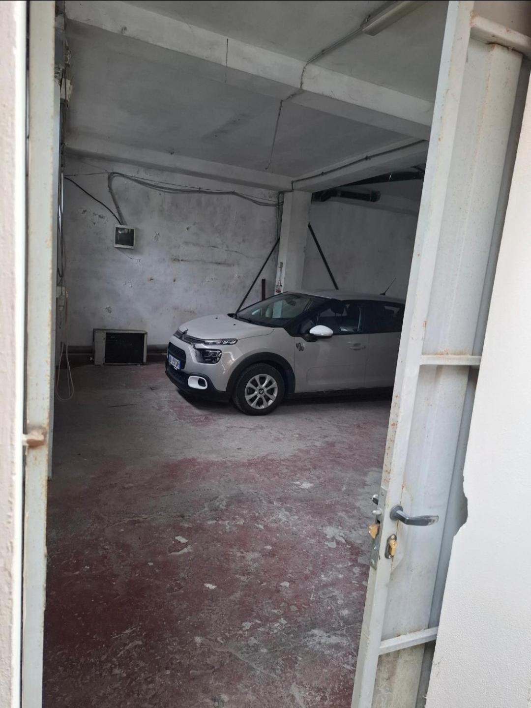 Alvin House Shkoder